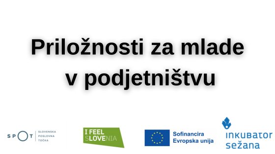 Priložnosti za mlade v podjetništvu