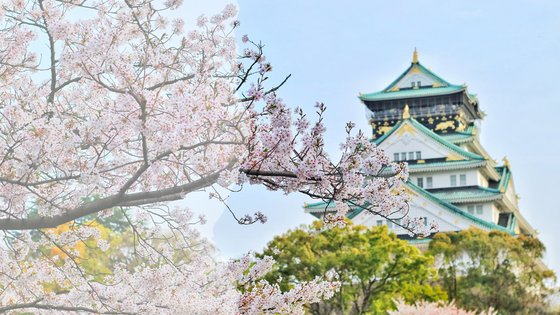 Strateško na japonski trg