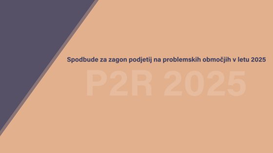 Javni razpis - Spodbude za zagon podjetij na obmejnih problemskih območjih v letu 2025 (P2R 2025)