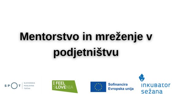 Mentorstvo in mreženje v podjetništvu