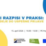 Javni razpisi v praksi: od ideje do uspešne prijave
