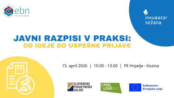 Javni razpisi v praksi: od ideje do uspešne prijave