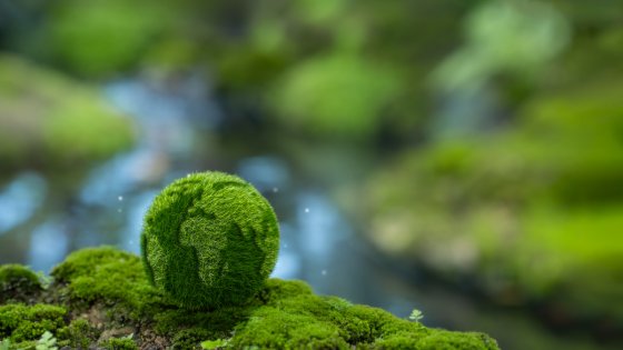 Zeleni prehod v praksi - od evropskih politik do nizkoogljičnih projektov ter razpisi za energetsko prenovo stavb